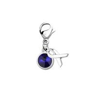 CHOORO Blue Awareness Ribbon Clip on Charm Navy Blue Awareness Ribbon Zipper Pull Gift for Colon Cancer, Alloy