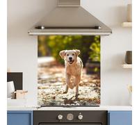 Choose Your Print Premium 59.5 X 74.5Cm Running Dog 6mm Glass Toughened Kitchen Splashback