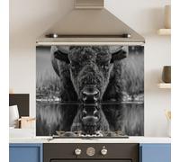 Choose Your Print Premium 70 X 60Cm Black White Bison 6mm Glass Toughened Kitchen Splashback