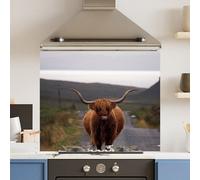 Choose Your Print Premium 70 X 60Cm Road Cow 6mm Glass Toughened Kitchen Splashback