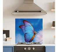 Choose Your Print Premium 70 X 65Cm Blue Butterfly 6mm Glass Toughened Kitchen Splashback - Heat Resistant Polished Edges
