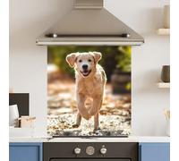 Choose Your Print Premium 70 X 75Cm Running Dog 6mm Glass Toughened Kitchen Splashback - Heat Resistant Polished Edges