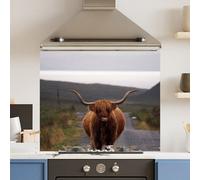 Choose Your Print Premium 74.5 X 59.5Cm Road Cow 6mm Glass Toughened Kitchen Splashback