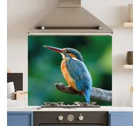 Choose Your Print Premium 90 X 75Cm Blue Kingfisher 6mm Glass Toughened Kitchen Splashback - Heat Resistant Polished Edges