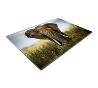 Chopping Board | Glass Chopping Boards for Kitchens | Glass Worktop Savers for Kitchen | Cutting Boards for Kitchen | Chopping Board Non Slip | Small Chopping Board | Green Elephant Blue Africa