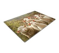 Chopping Boards | Glass Worktop Savers | Worktop Protectors Heat Resistant | Catering Chopping Boards | Chopping Boards Glass | Over The Sink Chopping Board | Large | White Sheep Green Farm