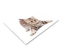 Chopping Boards | Glass Worktop Savers | Worktop Protectors Heat Resistant | Catering Chopping Boards | Chopping Boards Glass | Over The Sink Chopping Board | Large | Brown Kitten Cat White