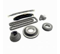 Chosertory Engine Timing Chain Kit for 4N15 Complete Engine Parts Set with Guide Tracks Tensioner and Toothed Timing for Unified Timing System Repair Solution