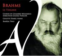Chour de Chambre Mélisme(S)/Bankal Trio/Pungier,Gildas/Diard,Colette - Brahms le Tzigane