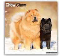 Chow Chow Calendar 2025 Square Dog Breed Wall Calendar - 16 Month 9781804603291