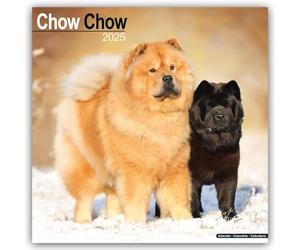 Chow Chow 2025 Square Wall Calendar | Dog Breed Calendar