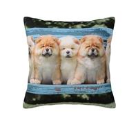 Chow-Chow Cute Dogs Five Puppies, Pillow Cover Decorative Throw Pillowcase Soft Polyester Cushion Covers 45x45 cm