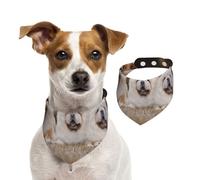 Chow-Chow Family Little Fluffy Puppies,Pet Bib Scarf Cats Dog Bandana Dogs Towel Bib Adjustable Pet Scarf,M