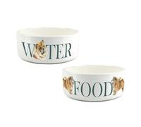 Chow Chow Pet Bowl Set - Painted Dog Portraits by Rhiannon Chauncey - Large White Ceramic Food & Water Dishes For Dogs (Set of 2)