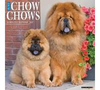 Chow Chows 2027 Wall