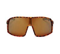 Chpo Brand Erica Polarized Sunglasses Gold Mirror Polarized/CAT3 Turtle Brown