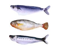 Chrees Realistic Flopping Fish Cat Toy, Interactive Touch Activated Motion Sensor Catnip Plush Chew Toy with USB Rechargeable Motor, for Kittens Cats Exercise