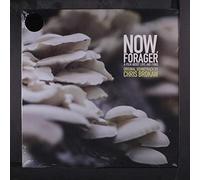 Chris Brokaw - Forager (Original Motion Now [VINYL]