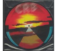 Chris Brotherhood Robinson - Dice Game & Let If Fall (Picture Disc) [10" VINYL]