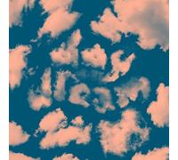 CHRIS COCO - DAYDREAM UTOPIA [VINYL]