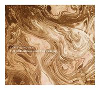 CHRIS DINGMAN - Subliminal & the Sublime