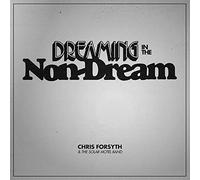 Chris Forsyth and Th - Dreaming in the Non-dream - Vinyl Record - J3z