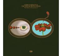 CHRIS FORSYTH and THE SOLAR MOTEL BAND - THE RARITY OF EXPERIENCE PTS. I and II