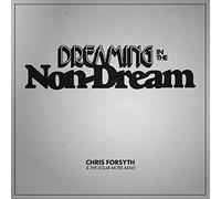 Chris Forsyth & Koen Holtkamp - Dreaming In The Non-Dream [VINYL]