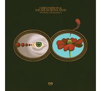 Chris Forsyth and The Solar Motel Band - The Rarity of Experience Pts. I & II