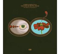 Chris Forsyth and The Solar Motel Band : The Rarity of Experience Pts. I & II