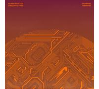 Potter Chris - Sunrise Reprise [VINYL]