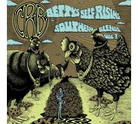 Chris Robinson Brotherhood Betty's Self-Rising Southern Blends Vol. 3 Double CD