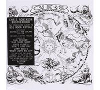 Chris Robinson Brotherhood - Magic Door [Import]