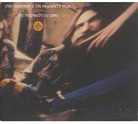 Chris Robinson - This Magnificent Distance