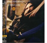 Chris Robinson - This Magnificent Distance