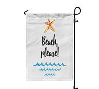 Chris Stapleton - Traveller [VINYL]