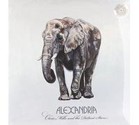 Chris & The Distant Star Mills - Alexandria [VINYL]