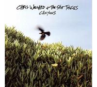 Chris Wollard & Ship Thieves - Canyons