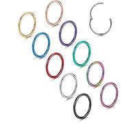 Chriscoco 10pcs 16/18G Hinged Nose Ring Surgical Steel Nose Clicker Ring Hoop Segment Lip Helix Cartilage Septum Daith Tragus Helix Rook Hoop Earrings Piercing