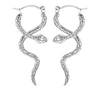 Chriscoco G23 Titanium Snake Earrings for Women Snake Dangle Drop Earrings Punk Gothic Snake Titanium Earrings for Sensitive Ears Personality Animal Earrings