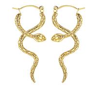 Chriscoco G23 Titanium Snake Earrings for Women Snake Dangle Drop Earrings Punk Gothic Snake Titanium Earrings for Sensitive Ears Personality Animal Earrings