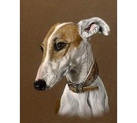 Chrissny DIY Oil Painting Kit - Whippet Dog - All Ages - 16x20 inches - Realistic Style - Non-Foldable