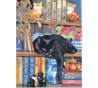 Chrissy Snelling - On the Shelf