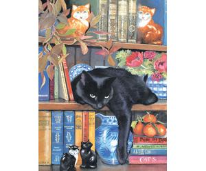 Chrissy Snelling - On the Shelf