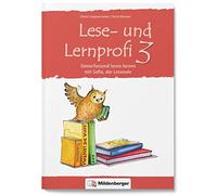 Christa Koppens Lese- und Lernprofi 3 - Schülerarbeitsheft: Sinnerfa (Paperback)