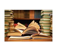 Christi Banks & Holli - Echoes of Christmas