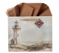 Christian Art Gifts Large Gift Bag with Tissue Paper, I Will Carry You