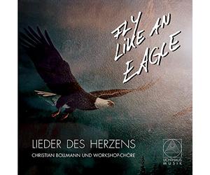 Christian Bollmann - Fly Like An Eagle