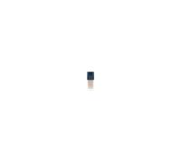 Christian Dior Vernis Nail Polish 206 Gris Dior 10 ml