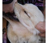 Christian Fennesz & Jim O'Rourke - It's Hard For Me To Say I'm Sorry [VINYL]